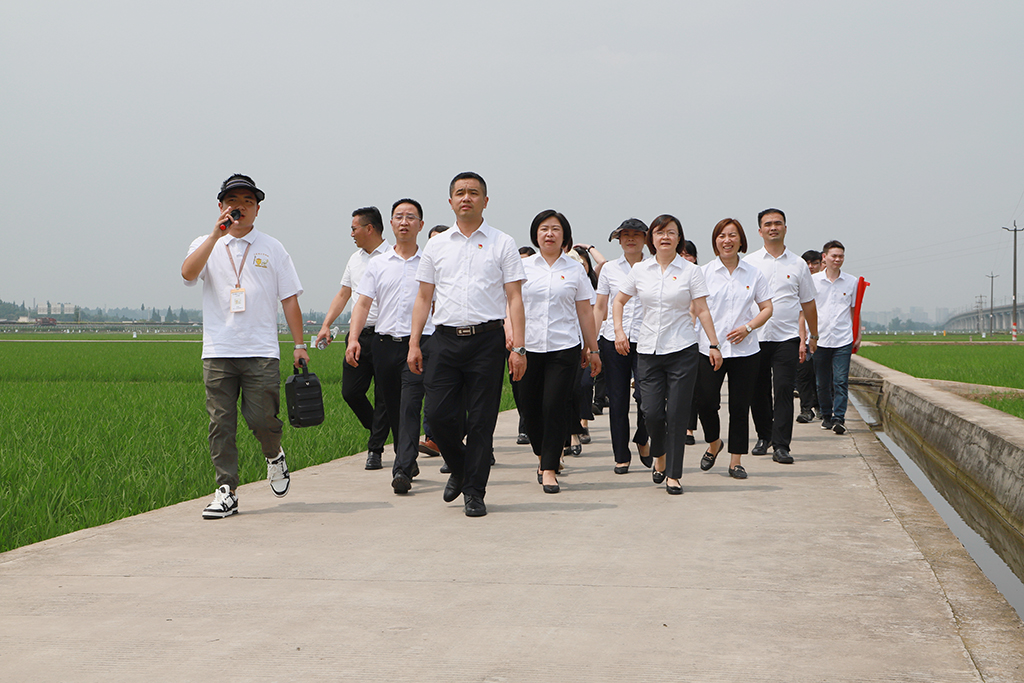 IMG_7224_副本.jpg IMG_7224_副本.jpg